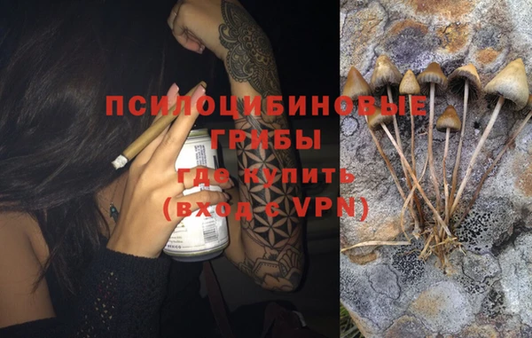 бутират Инсар